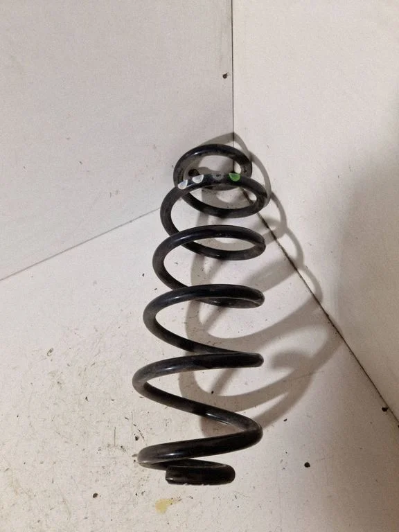 Rear coil spring