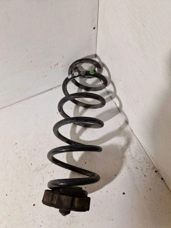 Rear coil spring
