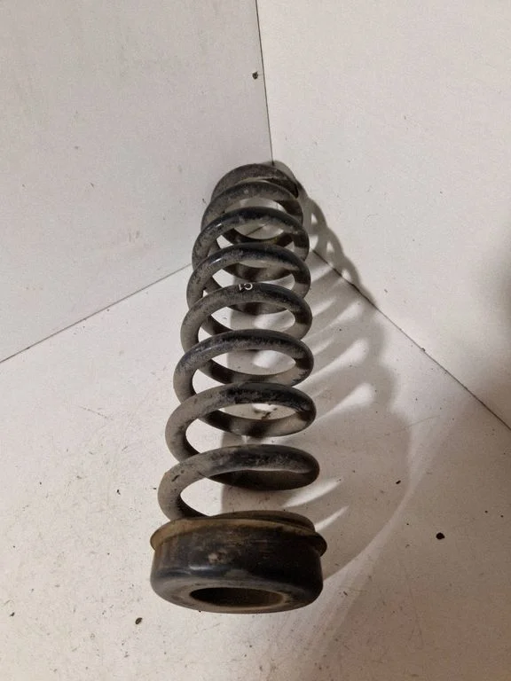 Rear coil spring