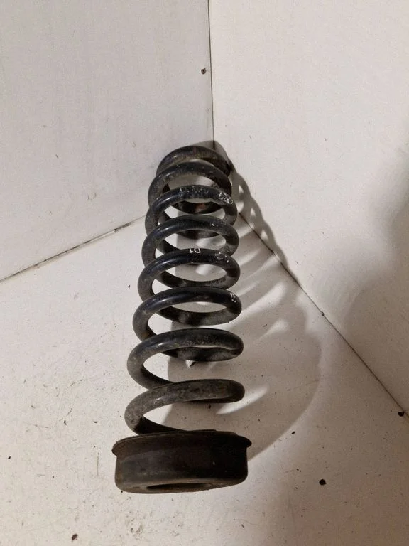 Rear coil spring