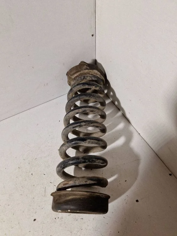 Rear coil spring
