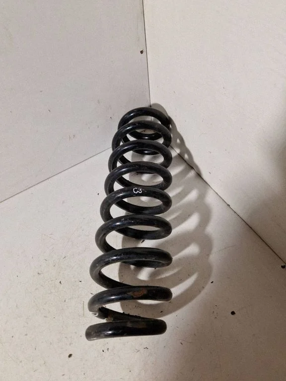 Rear coil spring