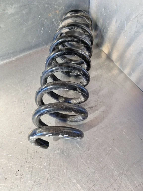 Rear coil spring