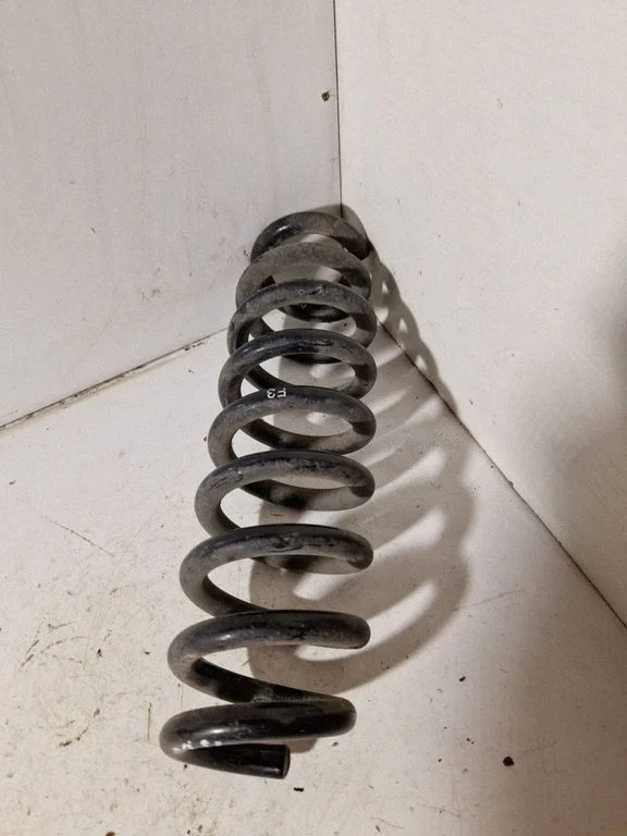 Rear coil spring
