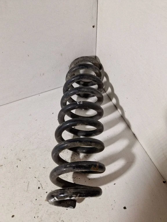Rear coil spring