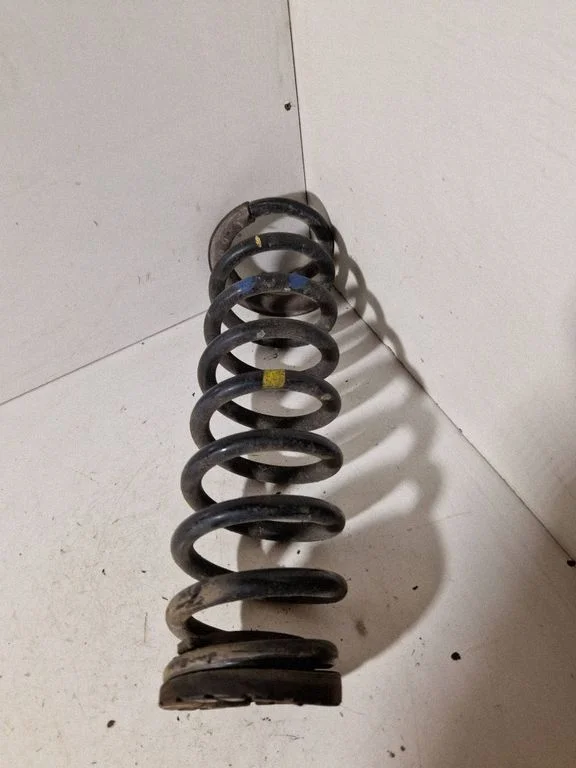 Rear coil spring