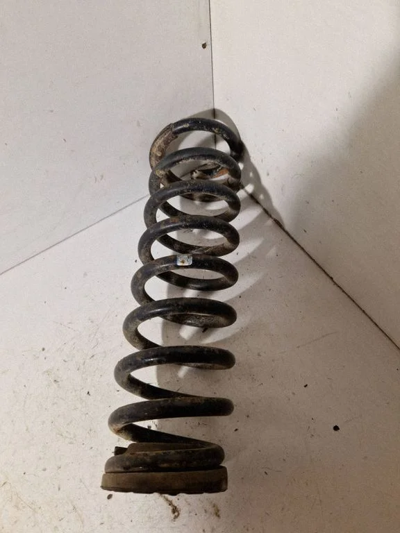 Rear coil spring