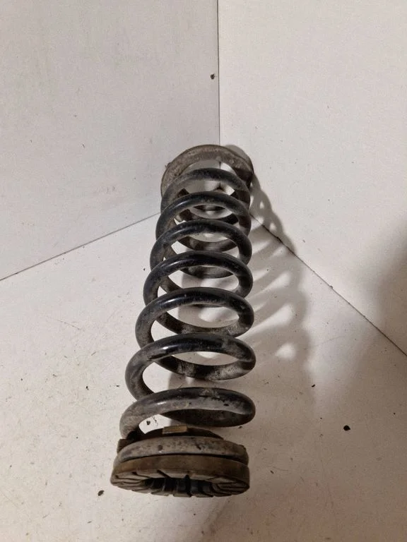 Rear coil spring