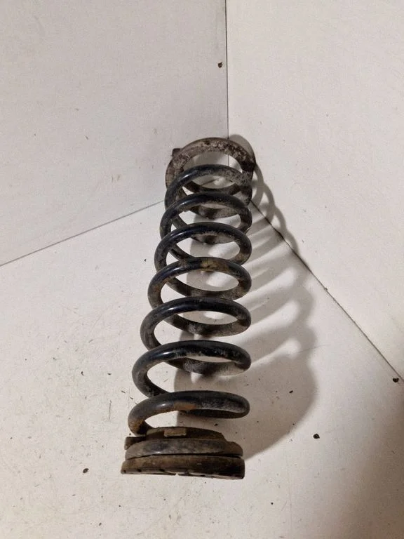 Rear coil spring