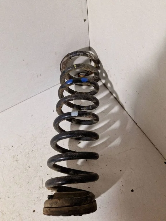 Rear coil spring