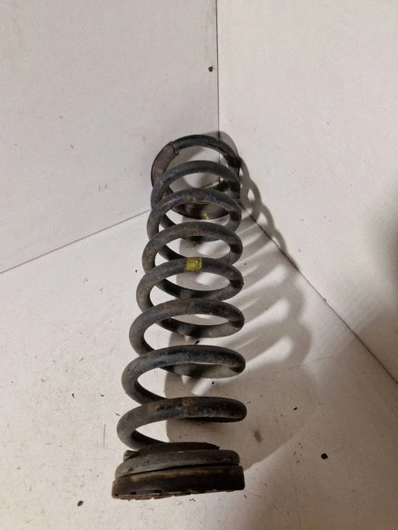 Rear coil spring
