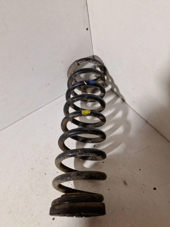 Rear coil spring