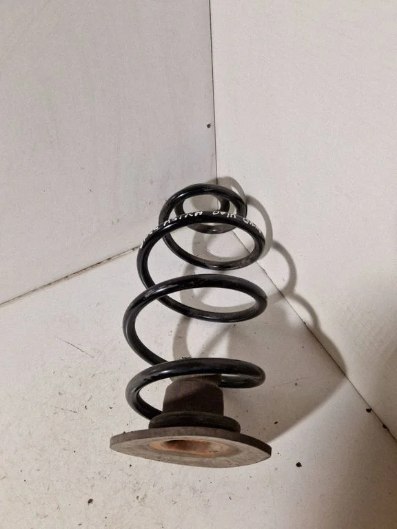 Rear coil spring