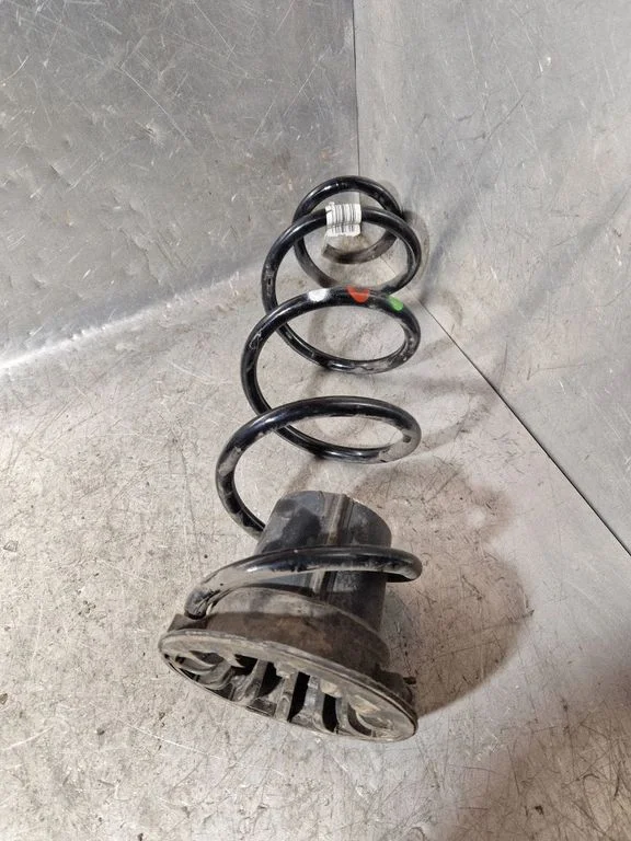 Rear coil spring