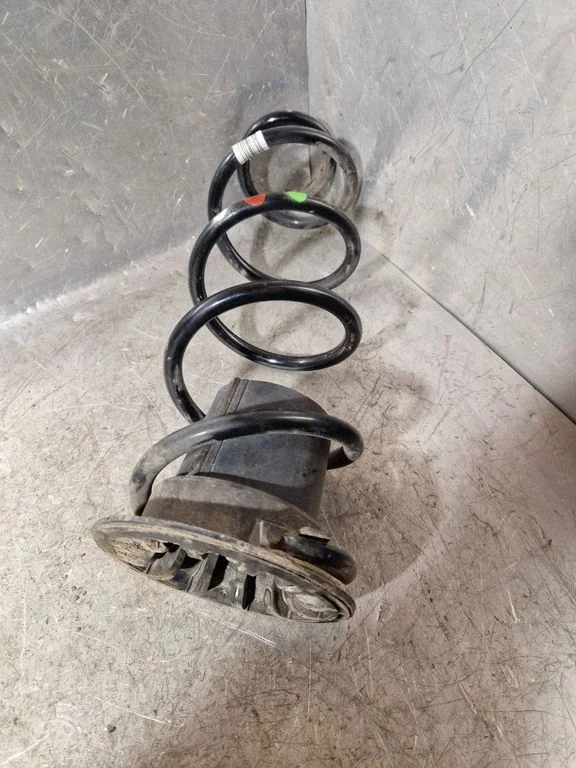 Rear coil spring