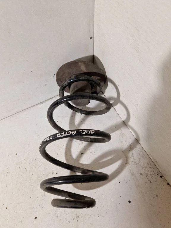Rear coil spring