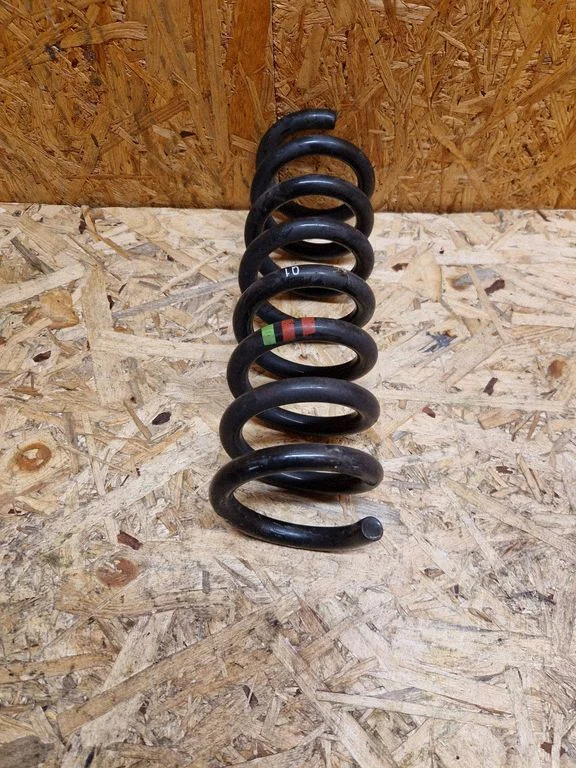 Rear coil spring