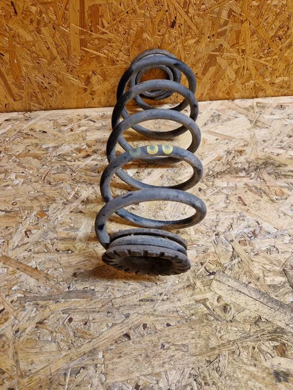 Rear coil spring