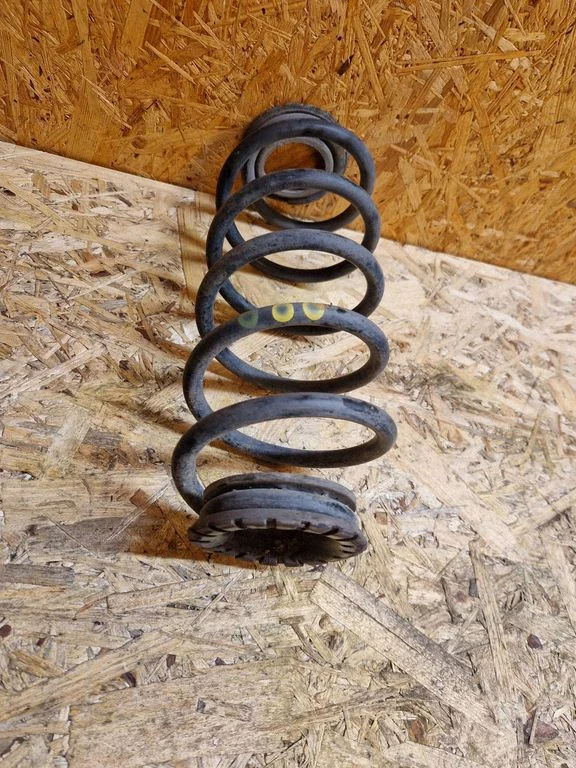 Rear coil spring