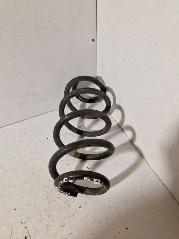 Rear coil spring