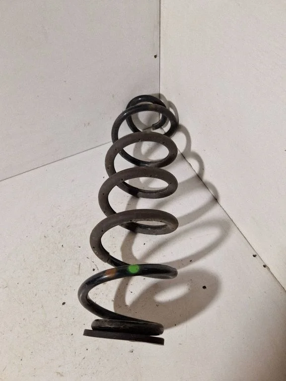 Rear coil spring