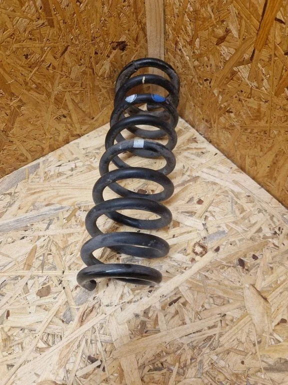Rear coil spring