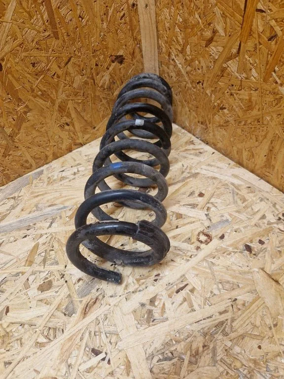 Rear coil spring