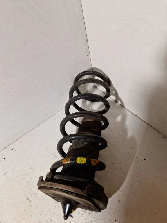 Rear coil spring