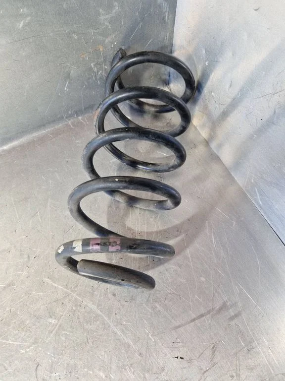 Rear coil spring