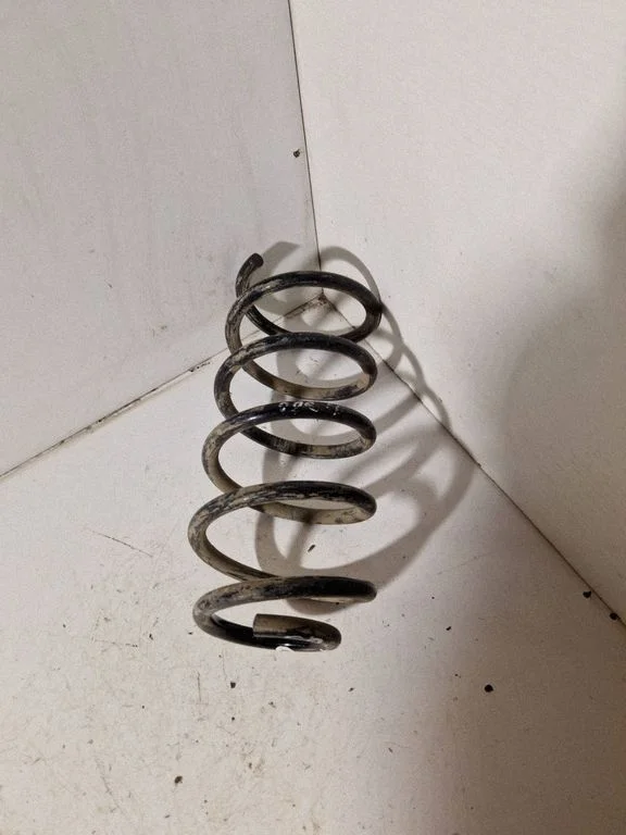 Rear coil spring