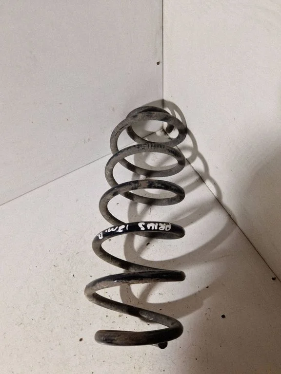 Rear coil spring