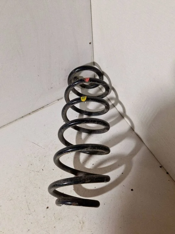 Rear coil spring