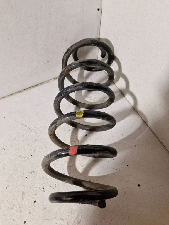 Rear coil spring