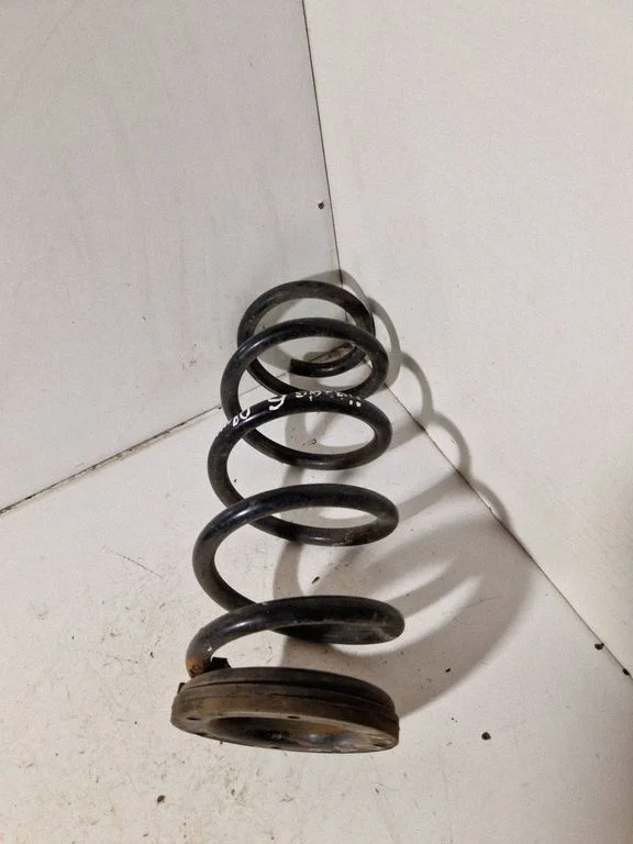 Rear coil spring
