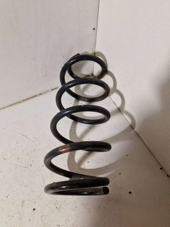 Rear coil spring