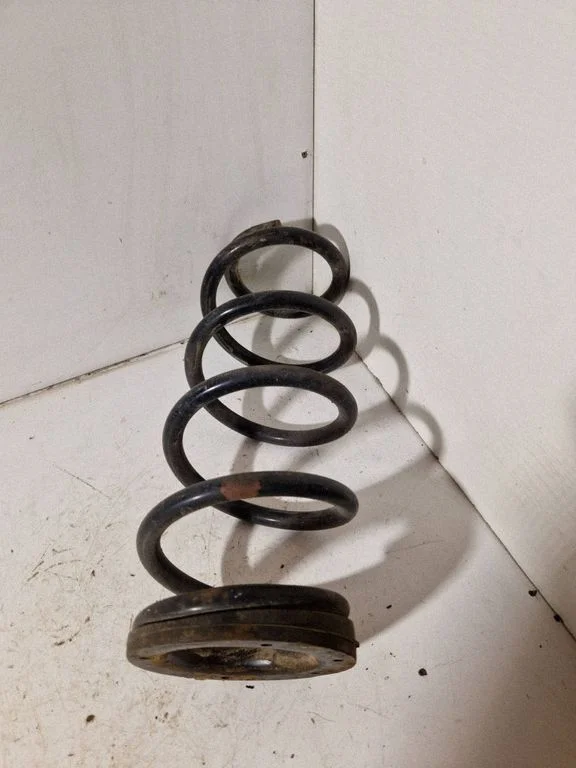 Rear coil spring