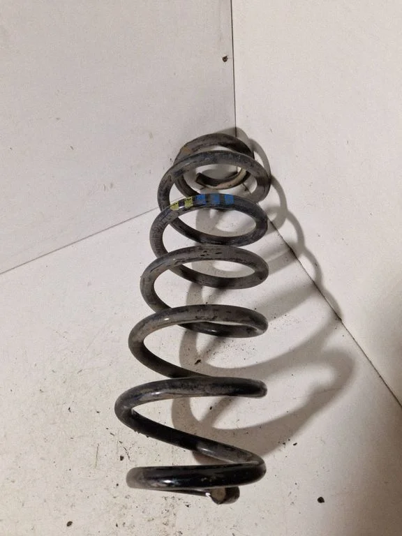Rear coil spring