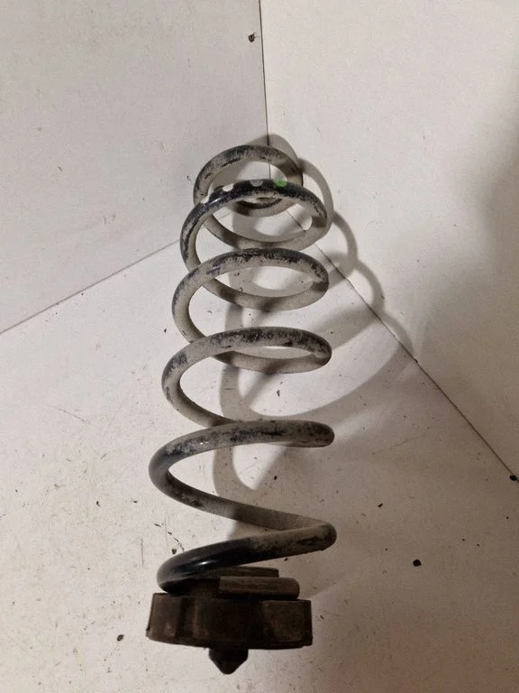 Rear coil spring