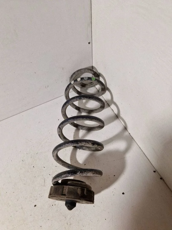Rear coil spring