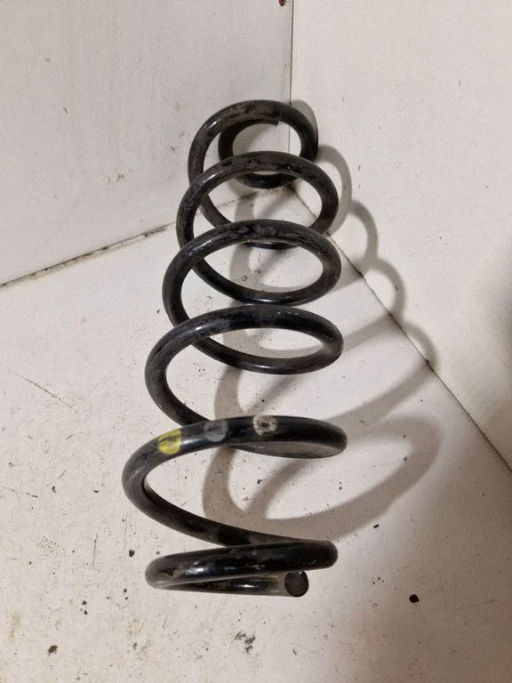 Rear coil spring