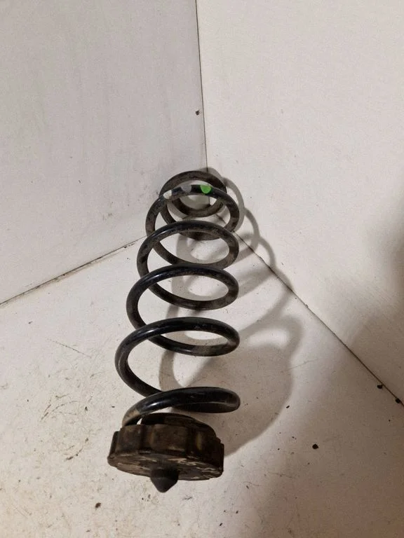 Rear coil spring