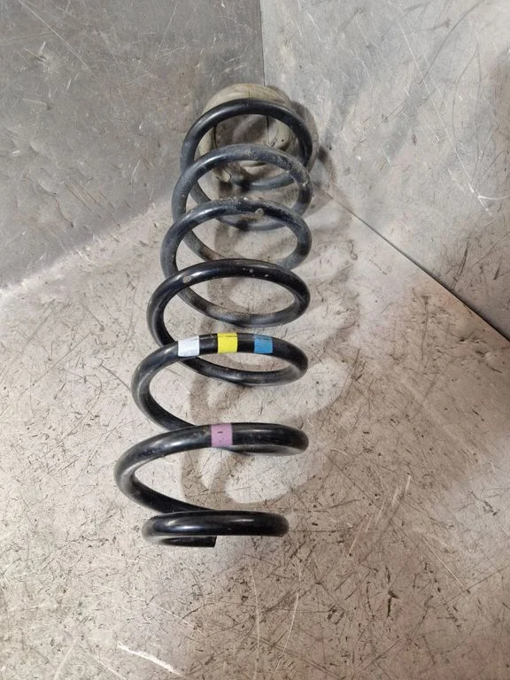 Rear coil spring