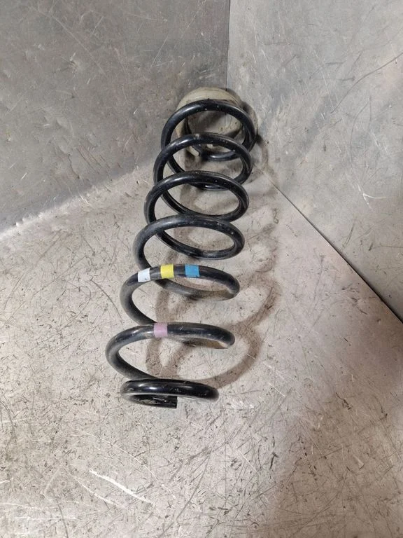 Rear coil spring