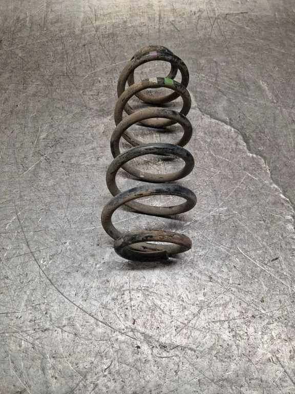 Rear coil spring