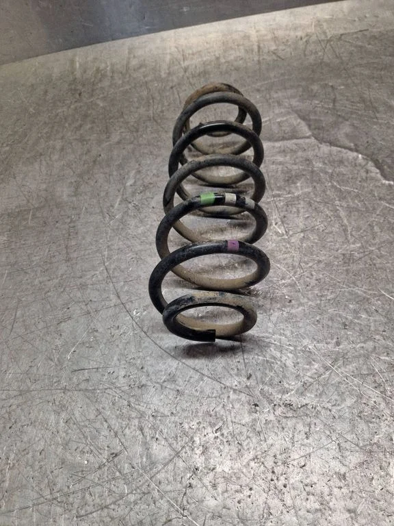 Rear coil spring