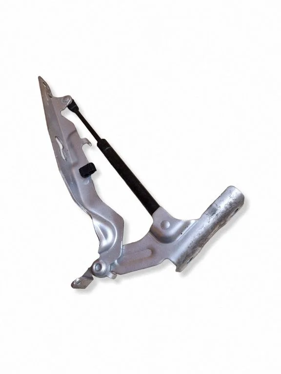 Engine bonnet/hood hinges 31385812
