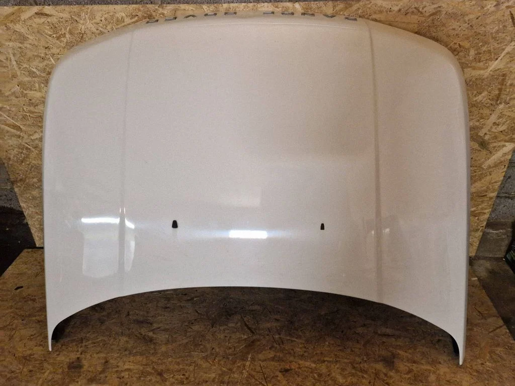 Engine bonnet/hood