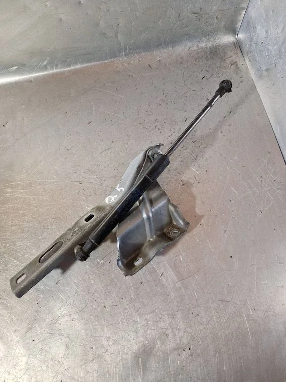 Engine bonnet/hood hinges – Audi Q5 SQ5 8R (2008-2017)