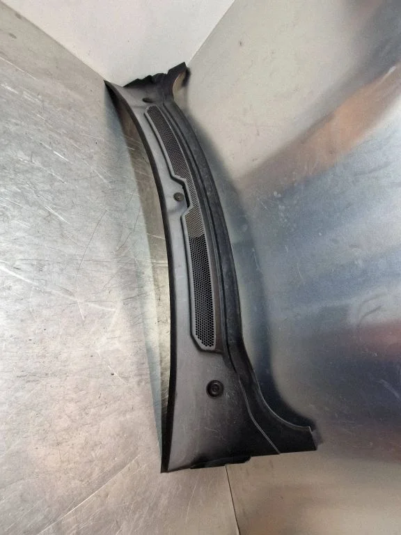 Wiper trim LHDS10093