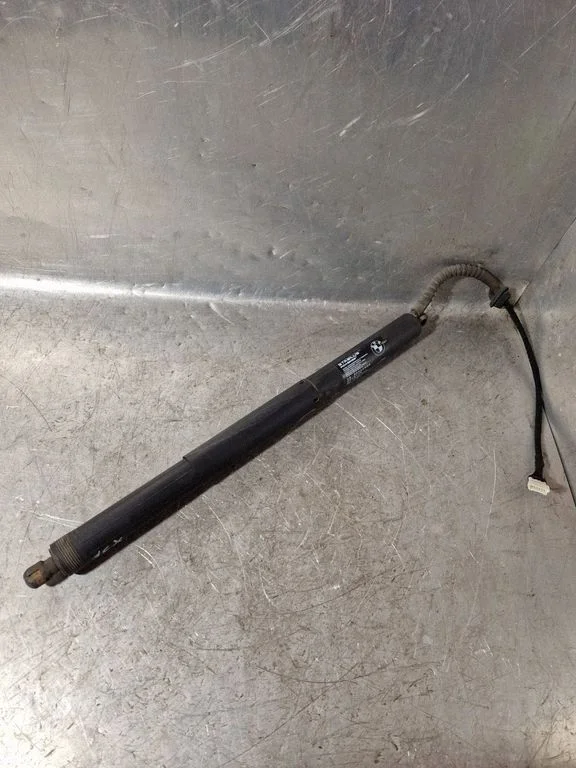 Tailgate/trunk strut/damper 669923